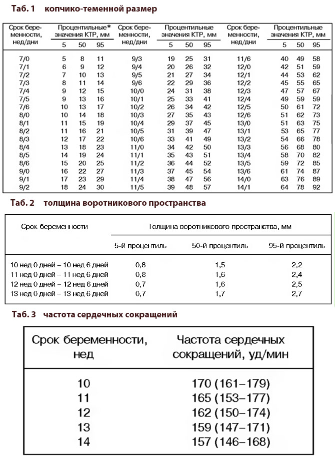 Норма длины носовых костей