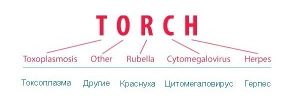 Анализ крови на torch инфекции при беременности