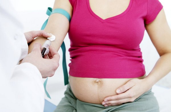 Забор крови для анализа уровня прогестерона во время беременности